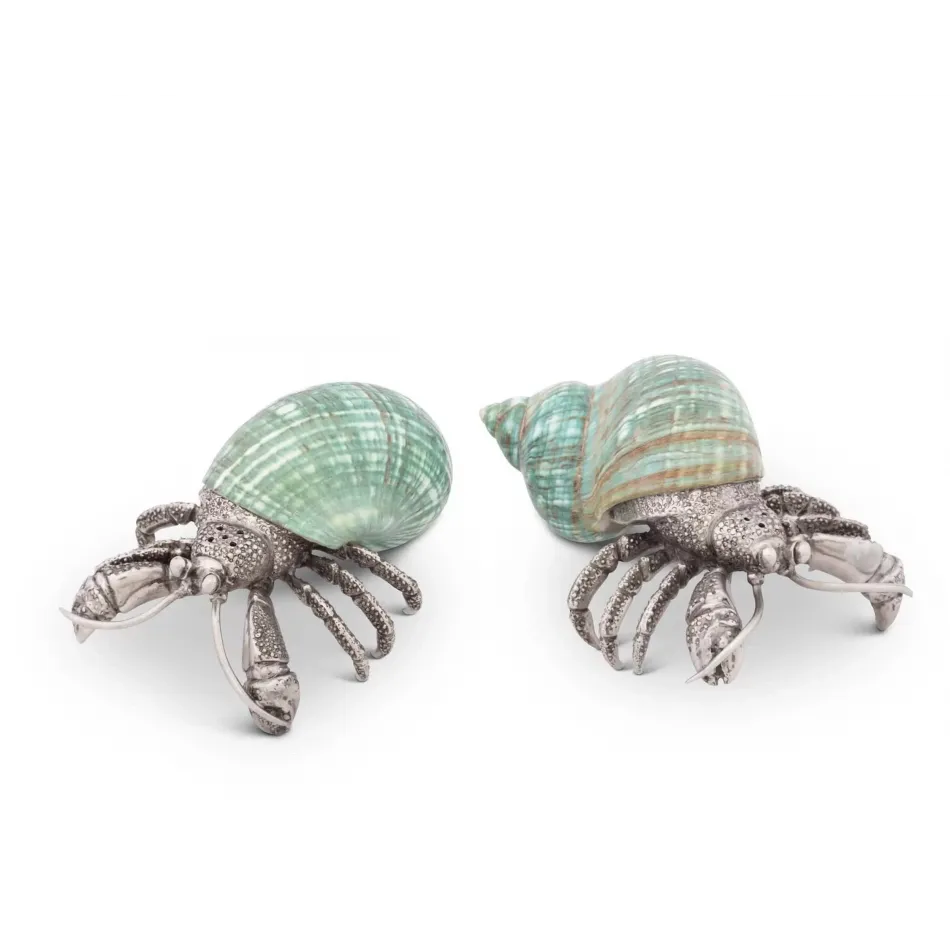 Sea And Shore Crab Shell Salt And Pepper Set