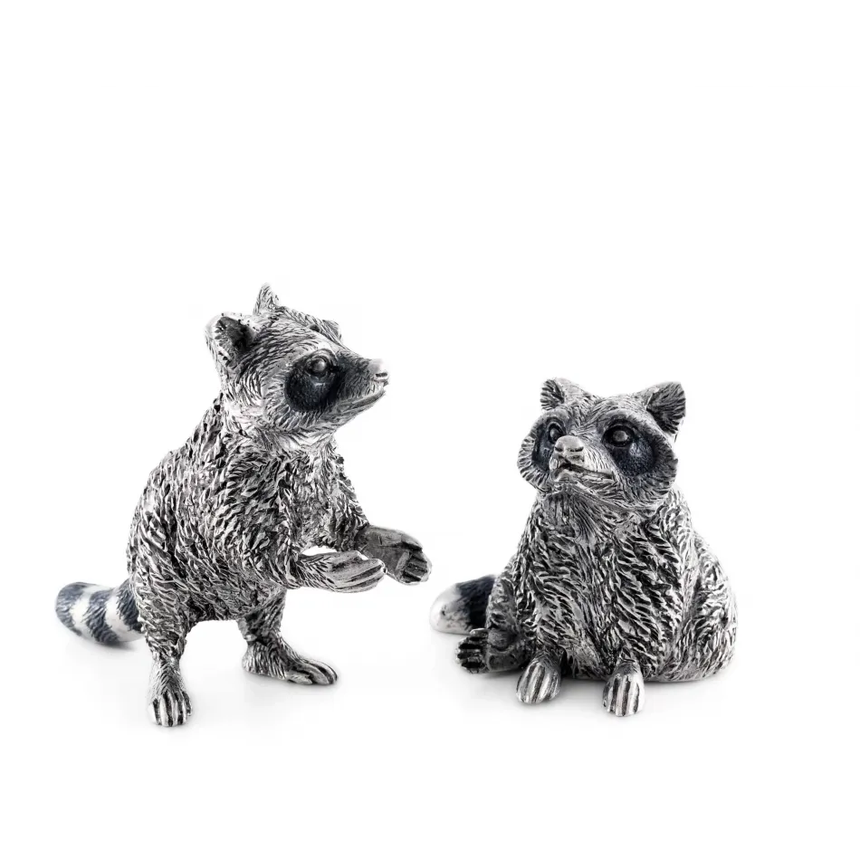 Woodland Creatures Raccoon Salt And Pepper Set