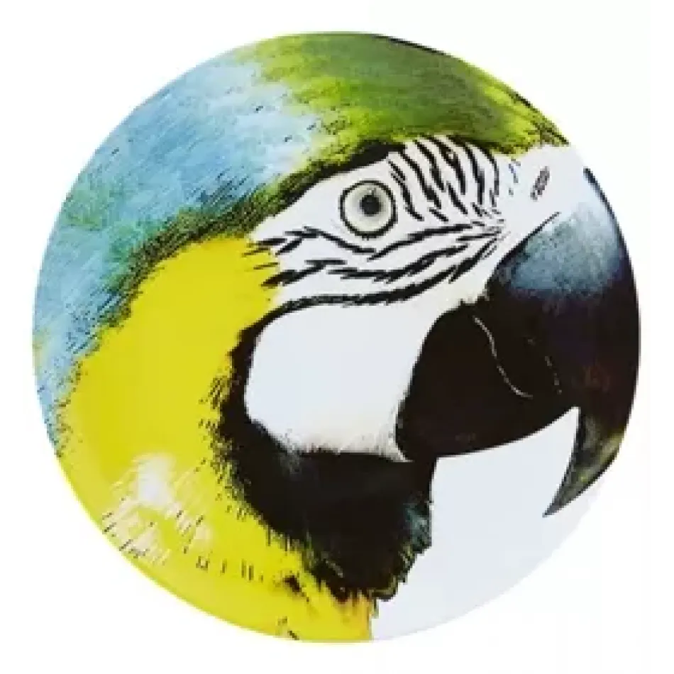 Olhar O Brasil Charger Plate Yellow Bellied Macaw