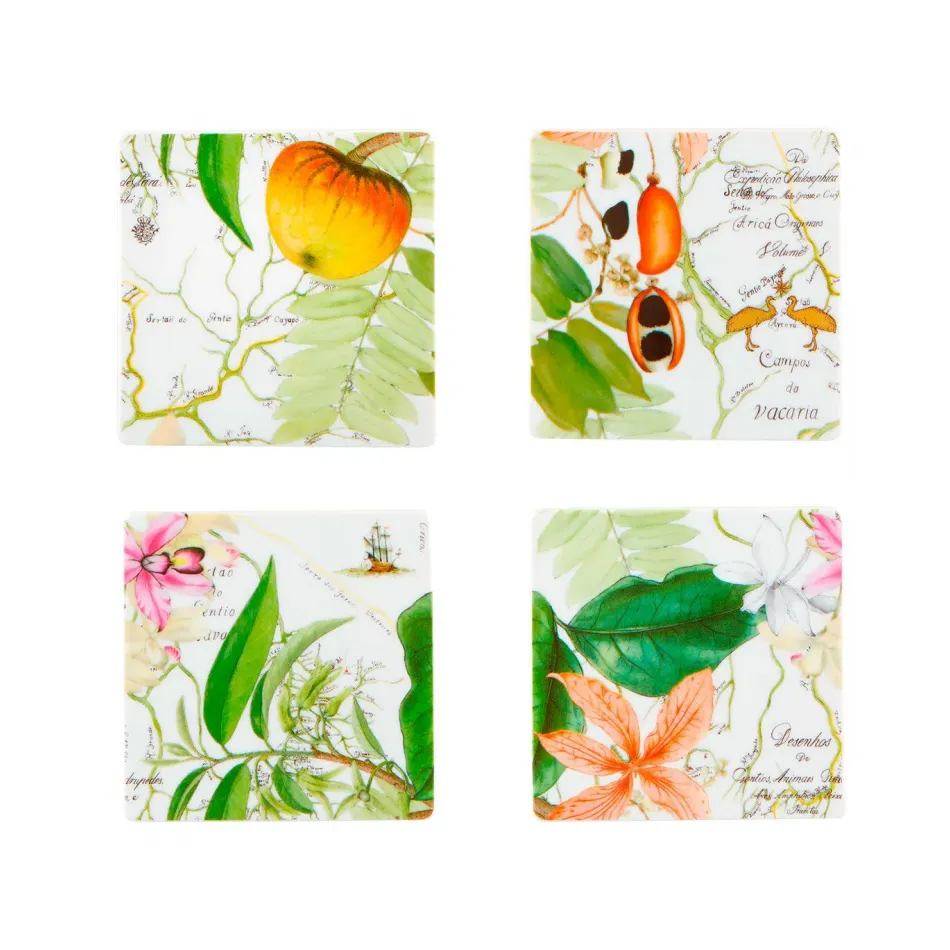 Amazonia Set Of 4 Coasters