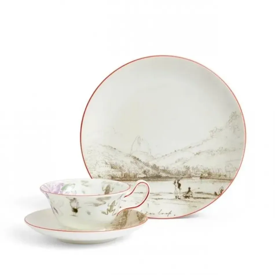 Voyage of the Beagle Darwin Brazil Teacup Saucer Plate, 3 Pieces