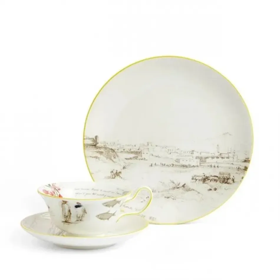 Voyage of the Beagle Darwin Uruguay Teacup Saucer Plate, 3 Pieces