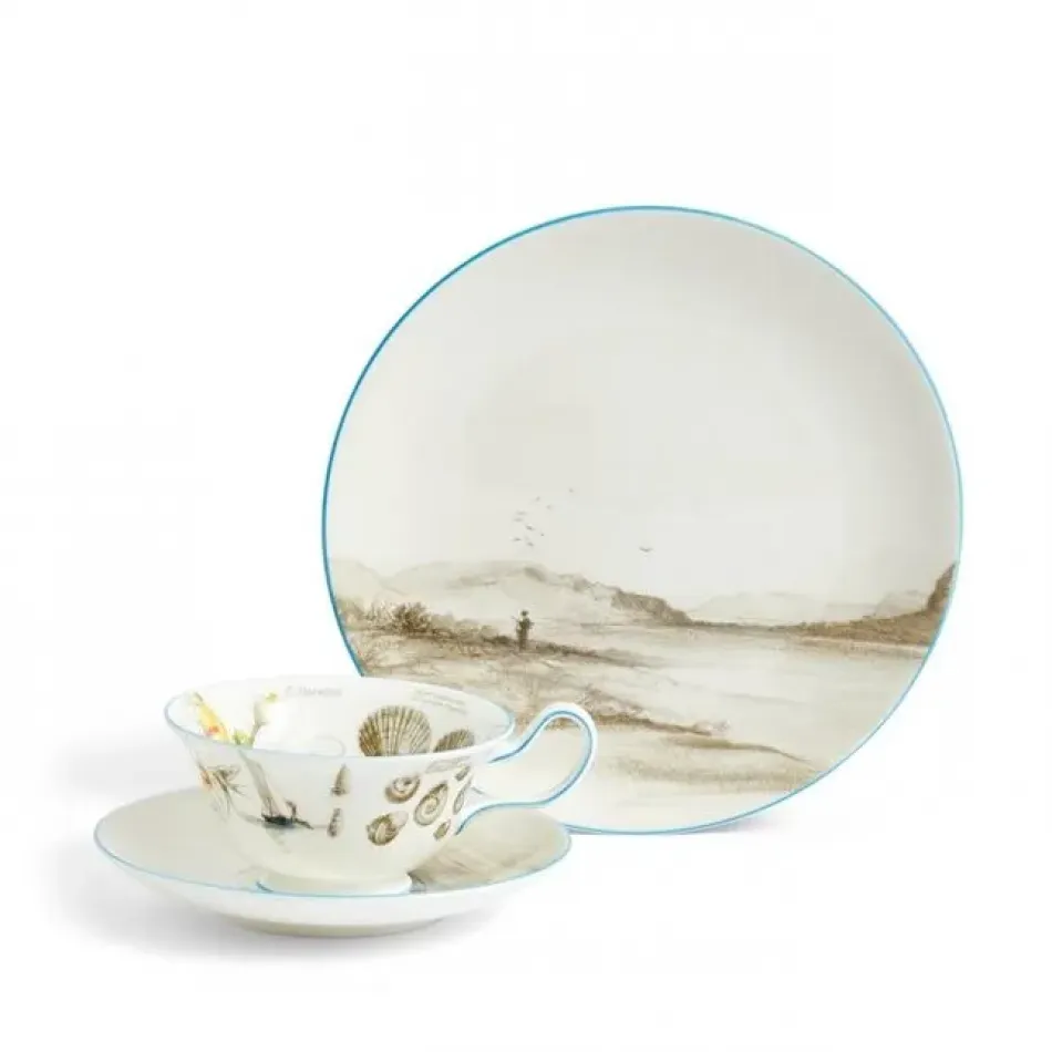 Voyage of the Beagle Darwin Patagonia Teacup Saucer Plate, 3 Pieces