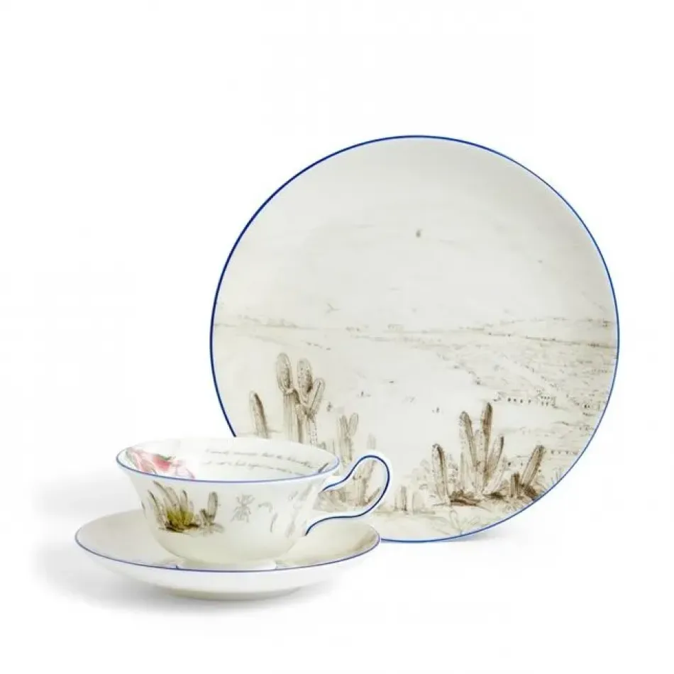 Voyage of the Beagle Darwin Chile Teacup Saucer Plate 3 Pieces