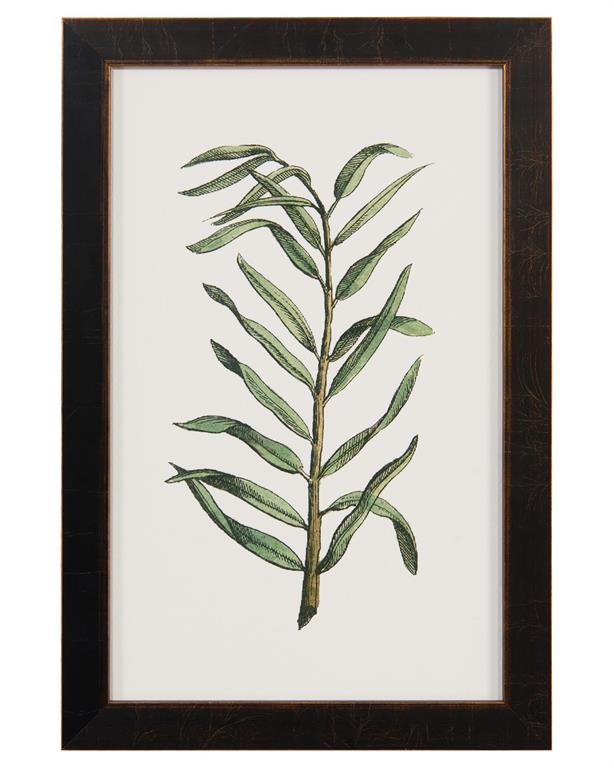 JohnRichard Garden Collection VIII Gracious Style