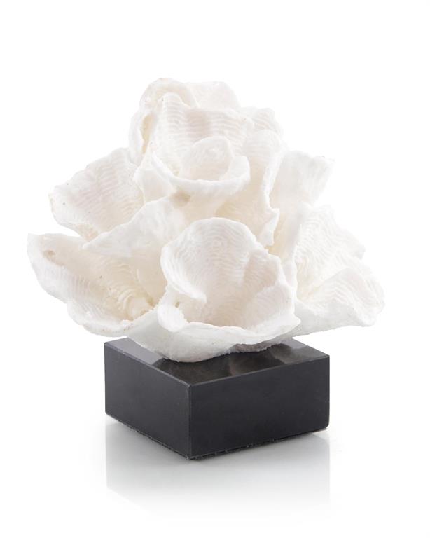 John-Richard Foliose Coral on Black Marble Base | Gracious Style