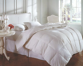 Cascada 600+ fill goose down comforter