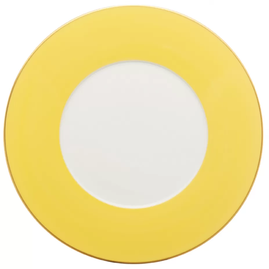 Haviland & Parlon Lexington Bread and Butter Plate