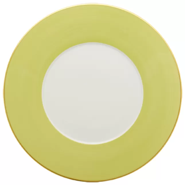 Haviland & Parlon Lexington Presentation Plate - Thumbnail 2