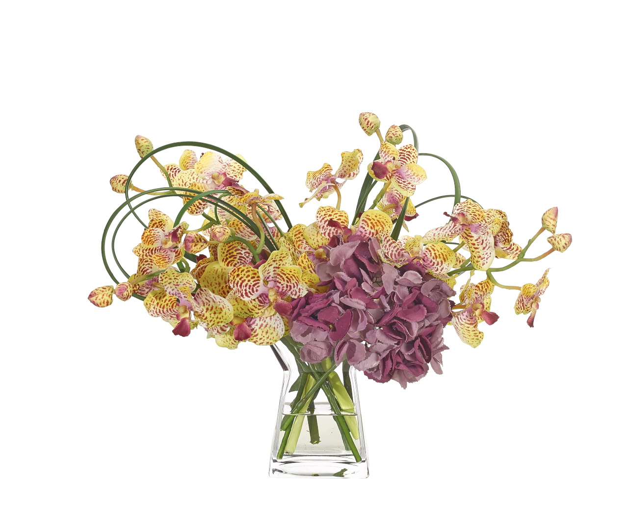 Flowers for Every Room