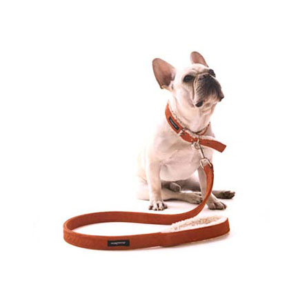 Suede Shearling Collar & Leash