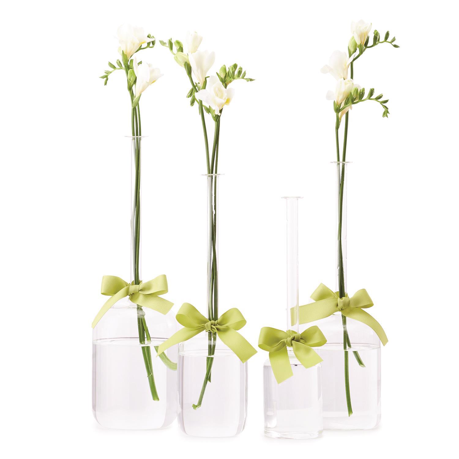 Two's Company Sleek And Chic Set of 4 Jug Vases with Sage Green Ribbon