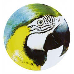 Olhar O Brasil Charger Plate Yellow Bellied Macaw