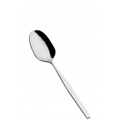 Spa Serving Spoon