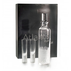 Artic Case With Vodka Decanter And 4 Shots