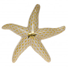 Medium Starfish 4 in L