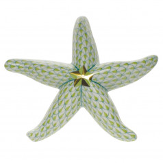 Medium Starfish Key Lime 4 in L