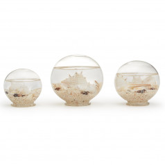 Atlantis Set of 3 Decorative Filled Globes Includes 3 Sizes with Assorted Shells and Starfish