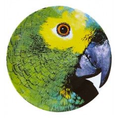 Olhar O Brasil Charger Plate Parrot