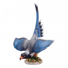 Passaros Blue Bird