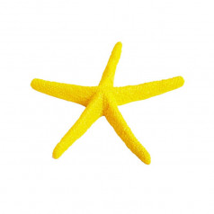 Sea Creatures Starfish Yellow L10 x H8.5 Cm