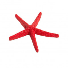 Sea Creatures Starfish Red L10 x H8.5 Cm