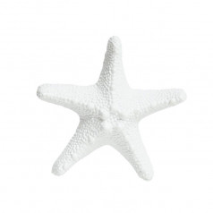 Sea Creatures Starfish White L9.2 x H8.5 Cm
