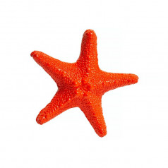 Sea Creatures Starfish Orange L9.2 x H8.5 Cm
