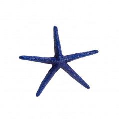 Sea Creatures Starfish Navy L10 x H8.5 Cm